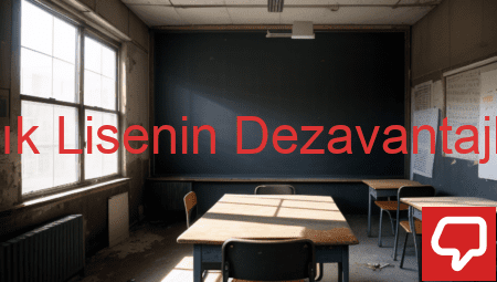 Açık Lisenin Dezavantajları