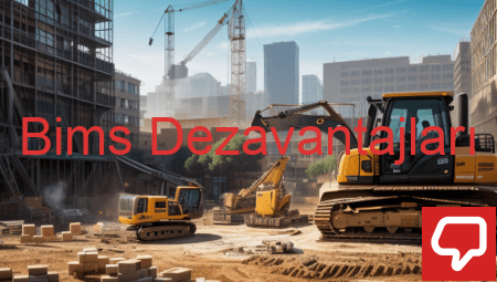 Bims Dezavantajları