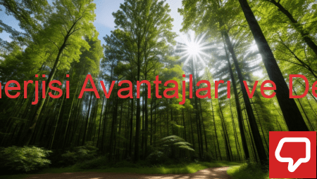 Biyokütle Enerjisi Avantajları ve Dezavantajları