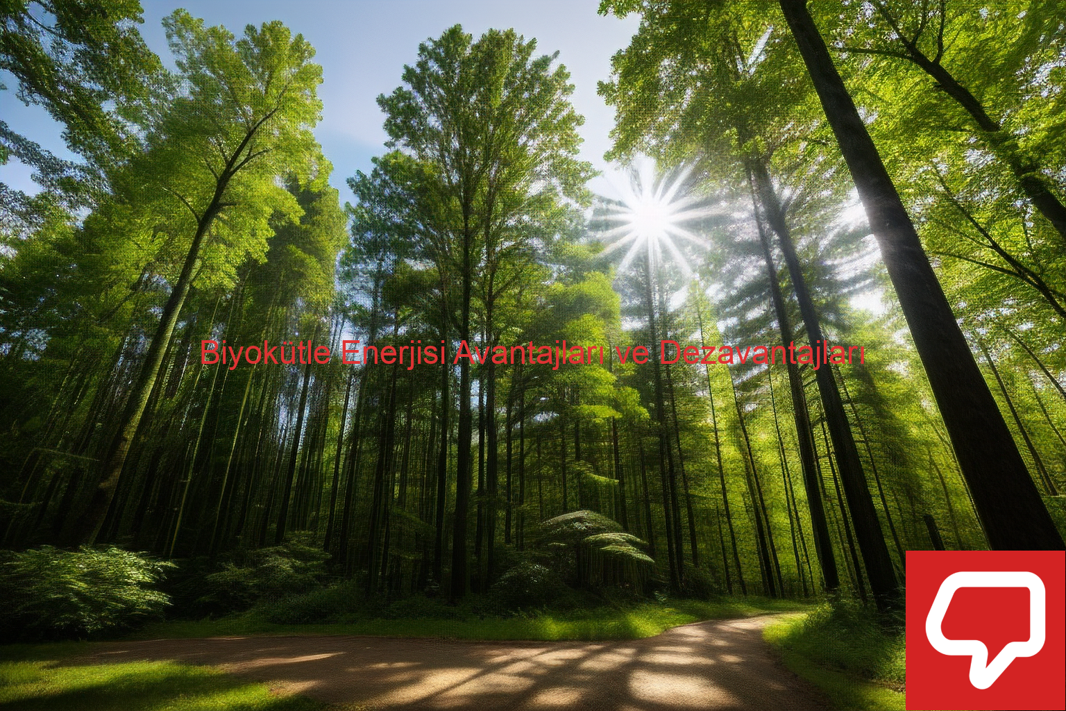 Biyokütle Enerjisi Avantajları ve Dezavantajları