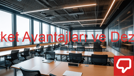 Limited Şirket Avantajları ve Dezavantajları