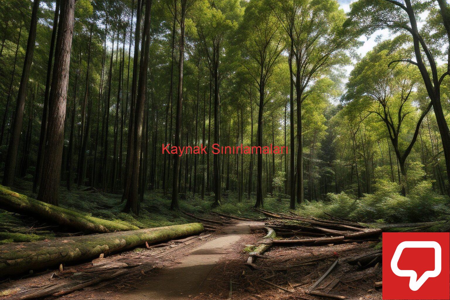 Kaynak Sınırlamaları