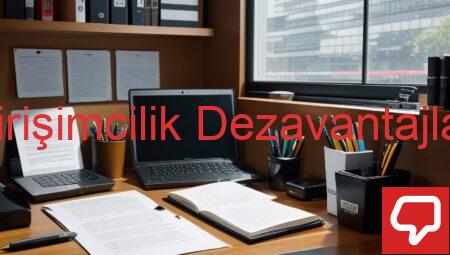Girişimcilik Dezavantajları