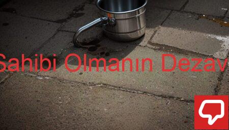 Köpek Sahibi Olmanın Dezavantajları