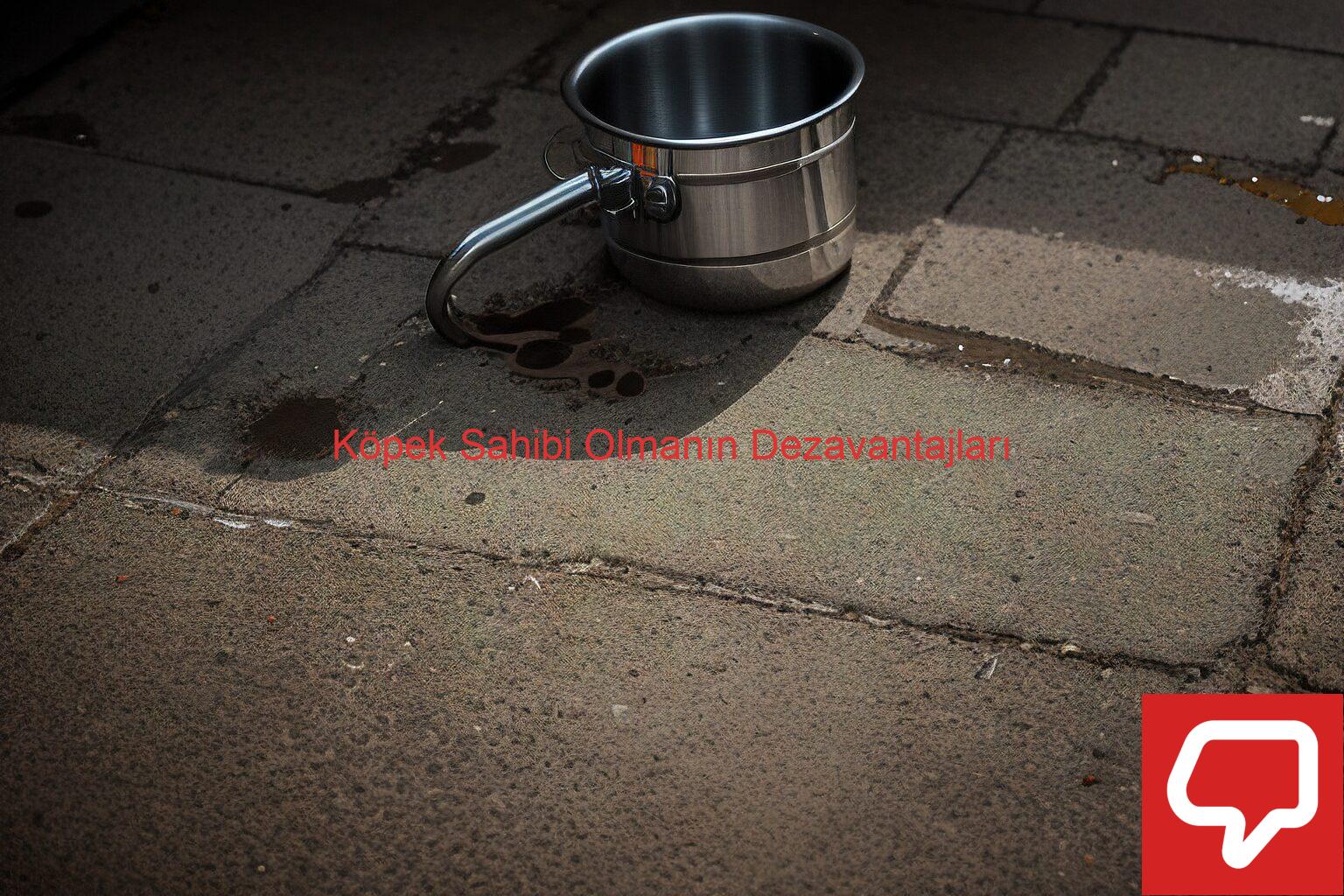 Köpek Sahibi Olmanın Dezavantajları