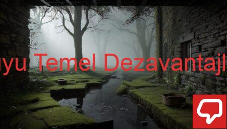 Kuyu Temel Dezavantajları