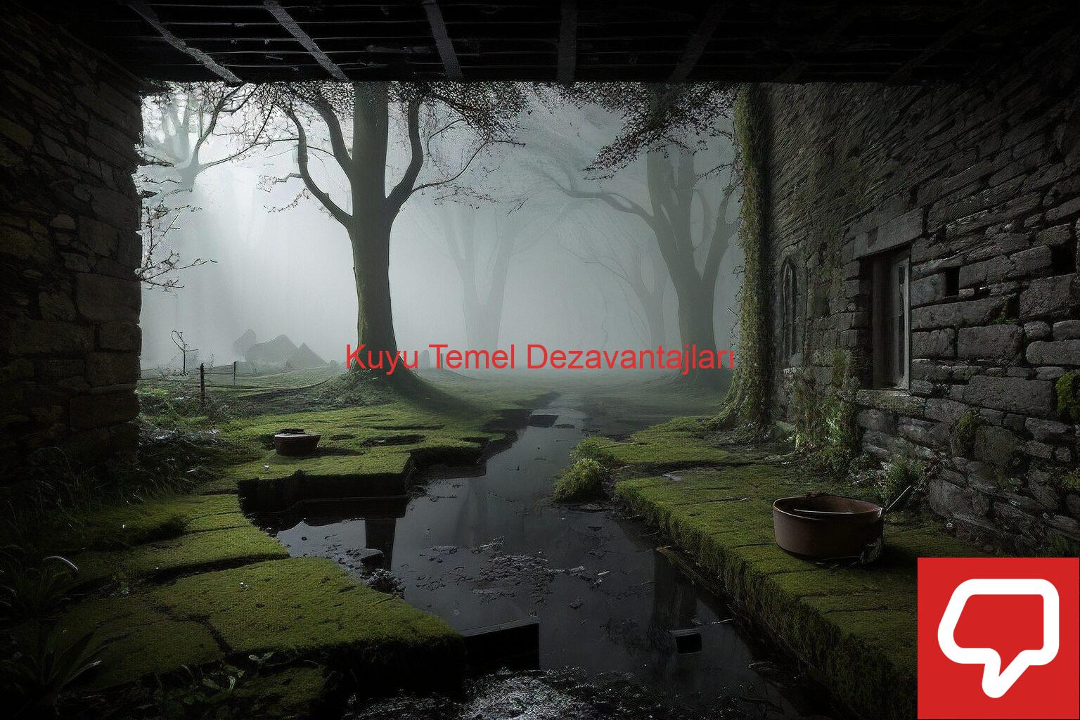 Kuyu Temel Dezavantajları