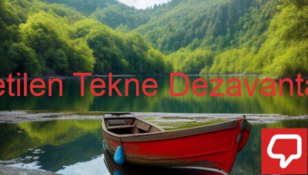 Polietilen Tekne Dezavantajları
