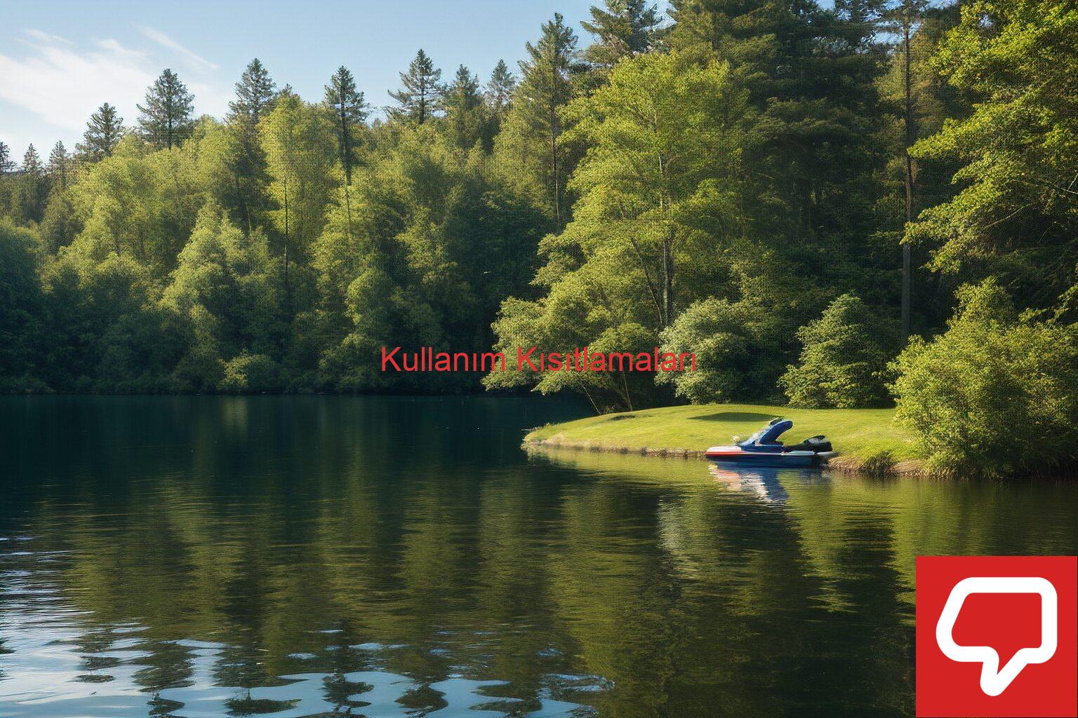 Kullanım Kısıtlamaları