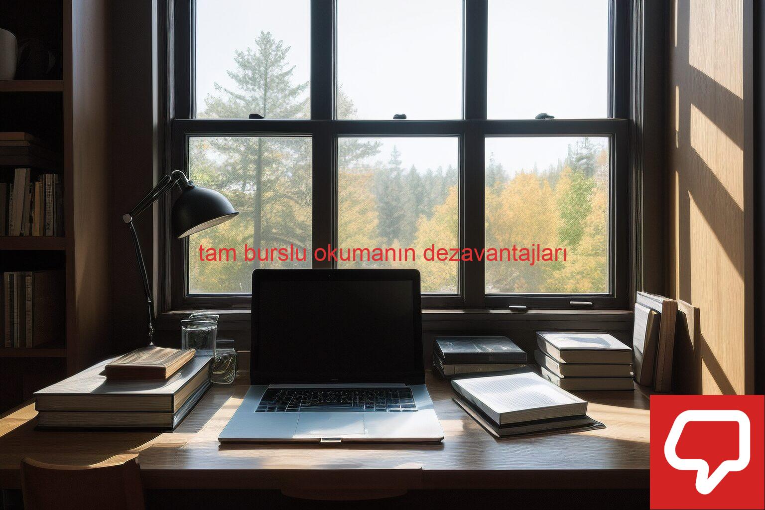 tam burslu okumanın dezavantajları