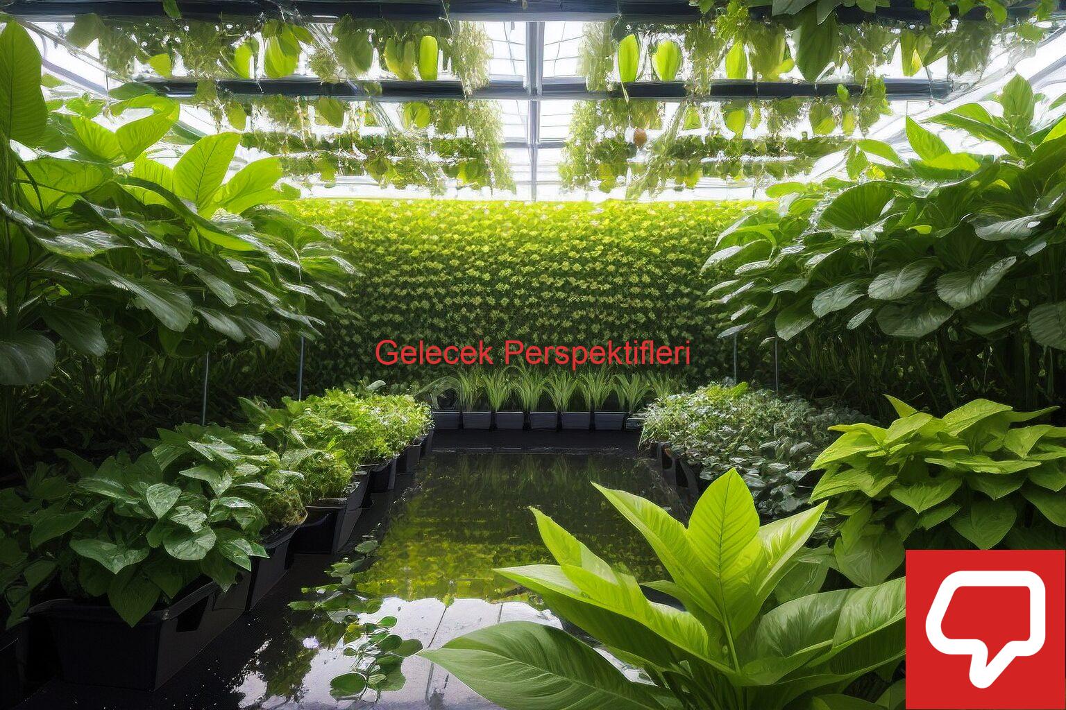 Gelecek Perspektifleri