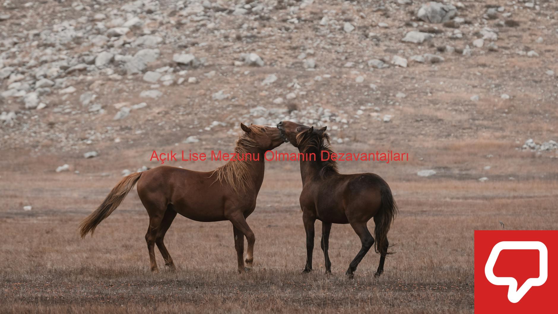 Açık Lise Mezunu Olmanın Dezavantajları