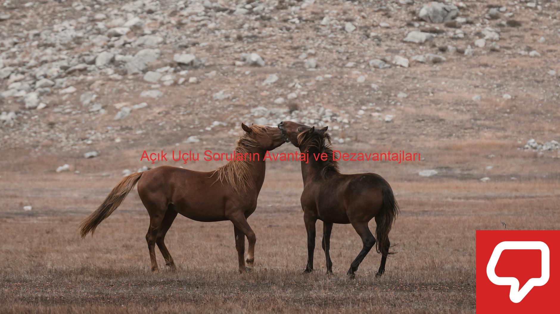 Açık Uçlu Soruların Avantaj ve Dezavantajları