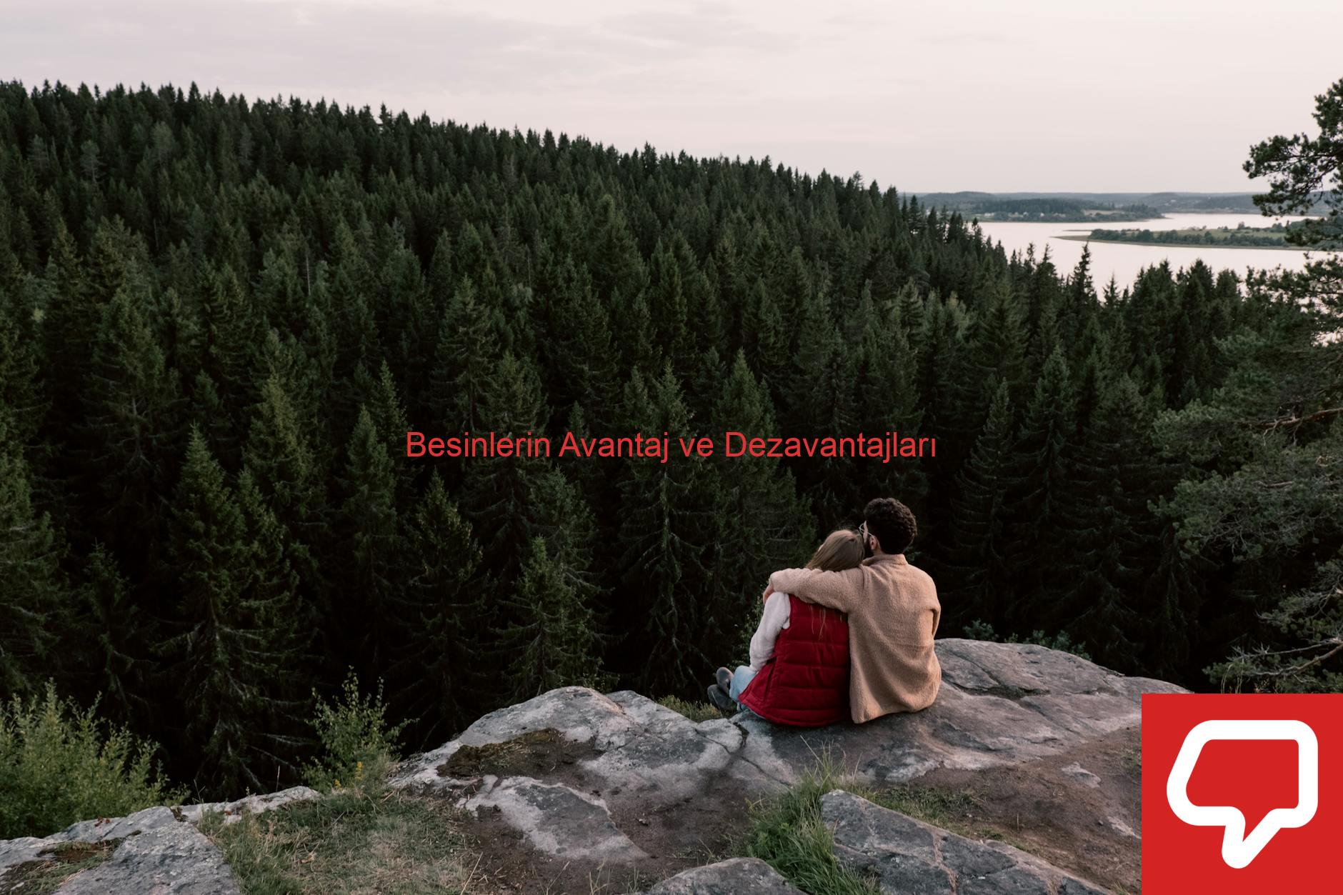Besinlerin Avantaj ve Dezavantajları