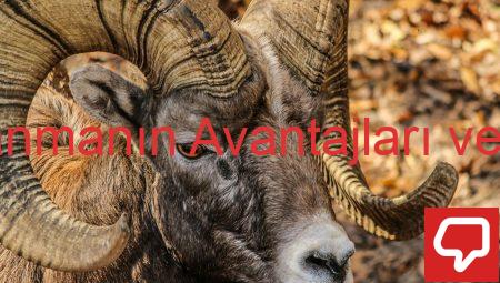 Bilgisayar Kullanmanın Avantajları ve Dezavantajları