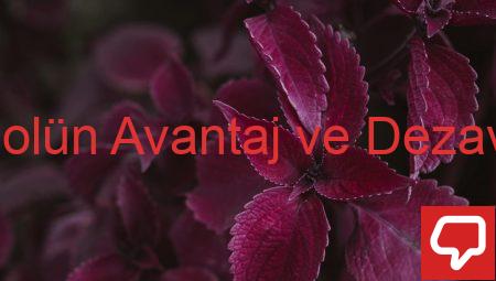 Biyoetanolün Avantaj ve Dezavantajları