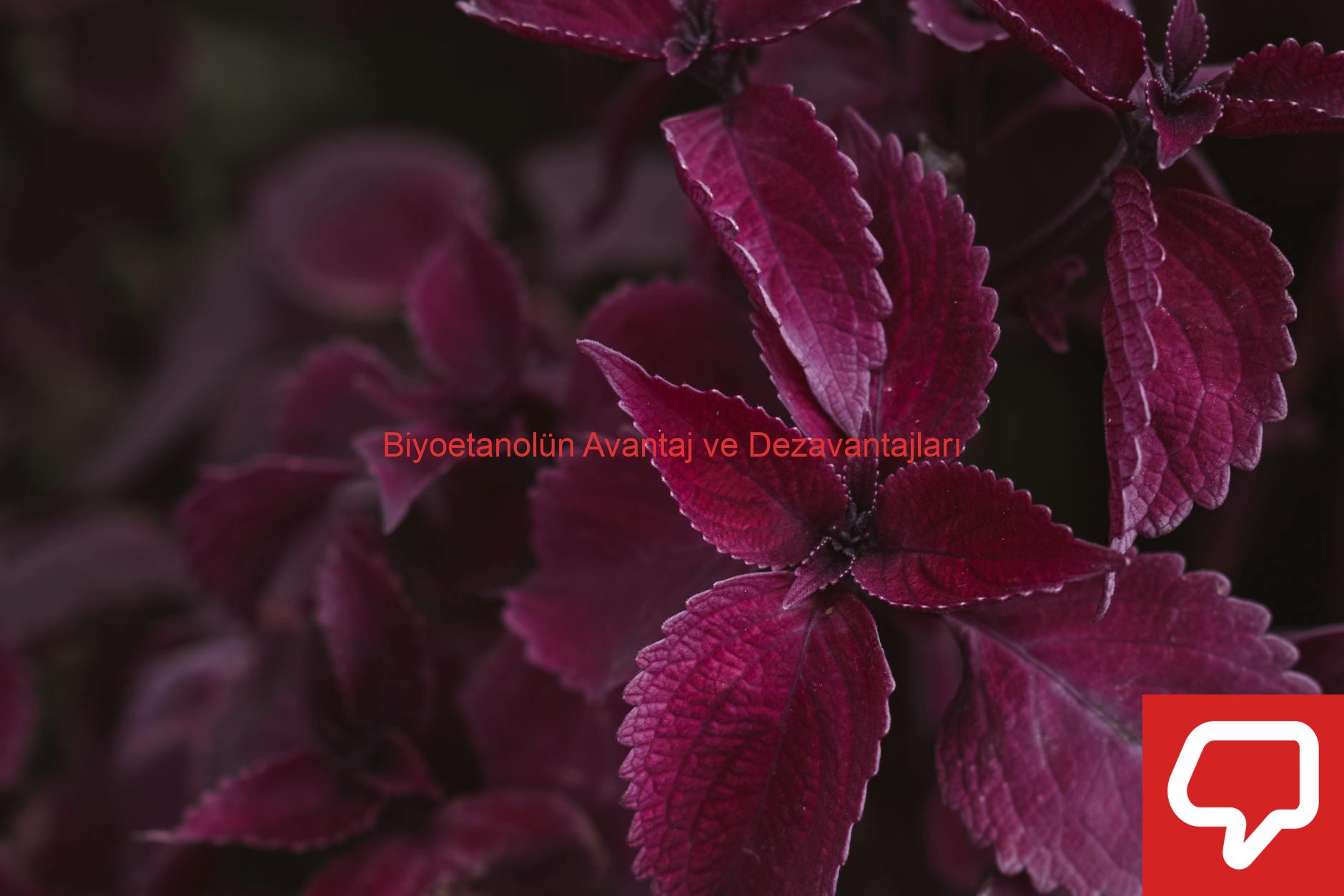 Biyoetanolün Avantaj ve Dezavantajları