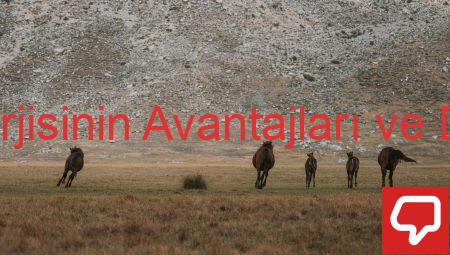 Biyokütle Enerjisinin Avantajları ve Dezavantajları