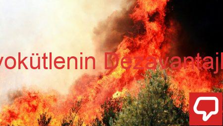 Biyokütlenin Dezavantajları