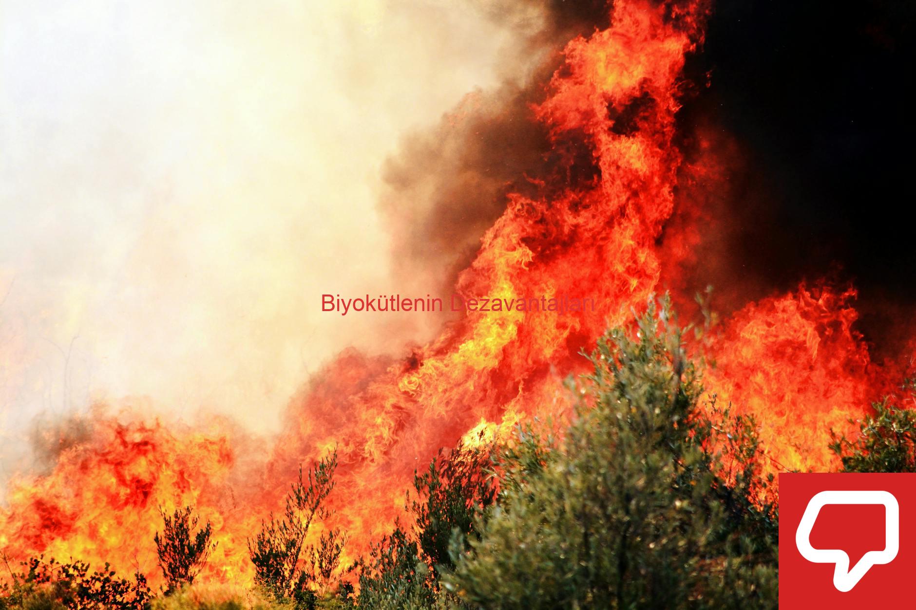 Biyokütlenin Dezavantajları