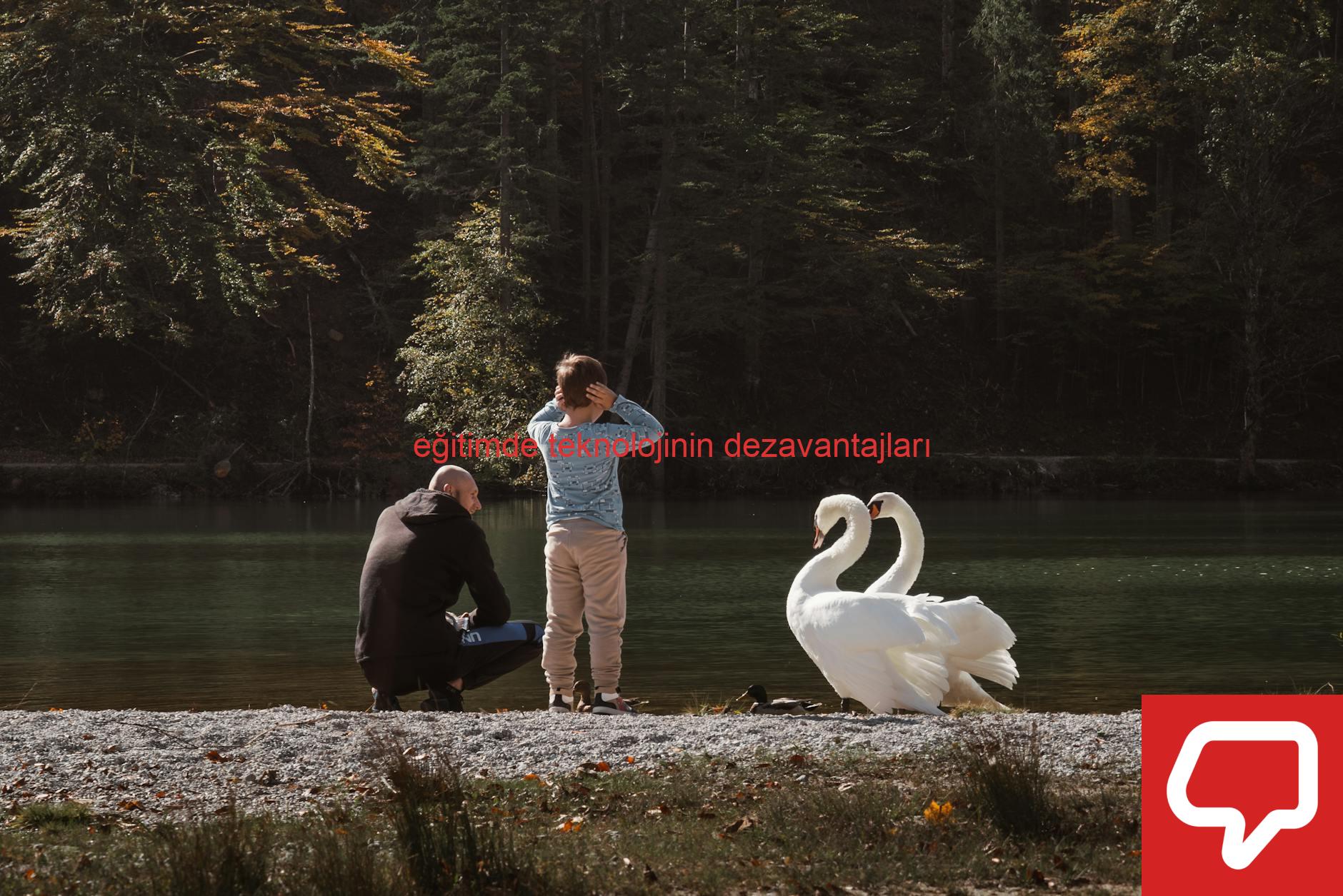 eğitimde teknolojinin dezavantajları