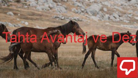 Etkileşimli Tahta Avantaj ve Dezavantajları