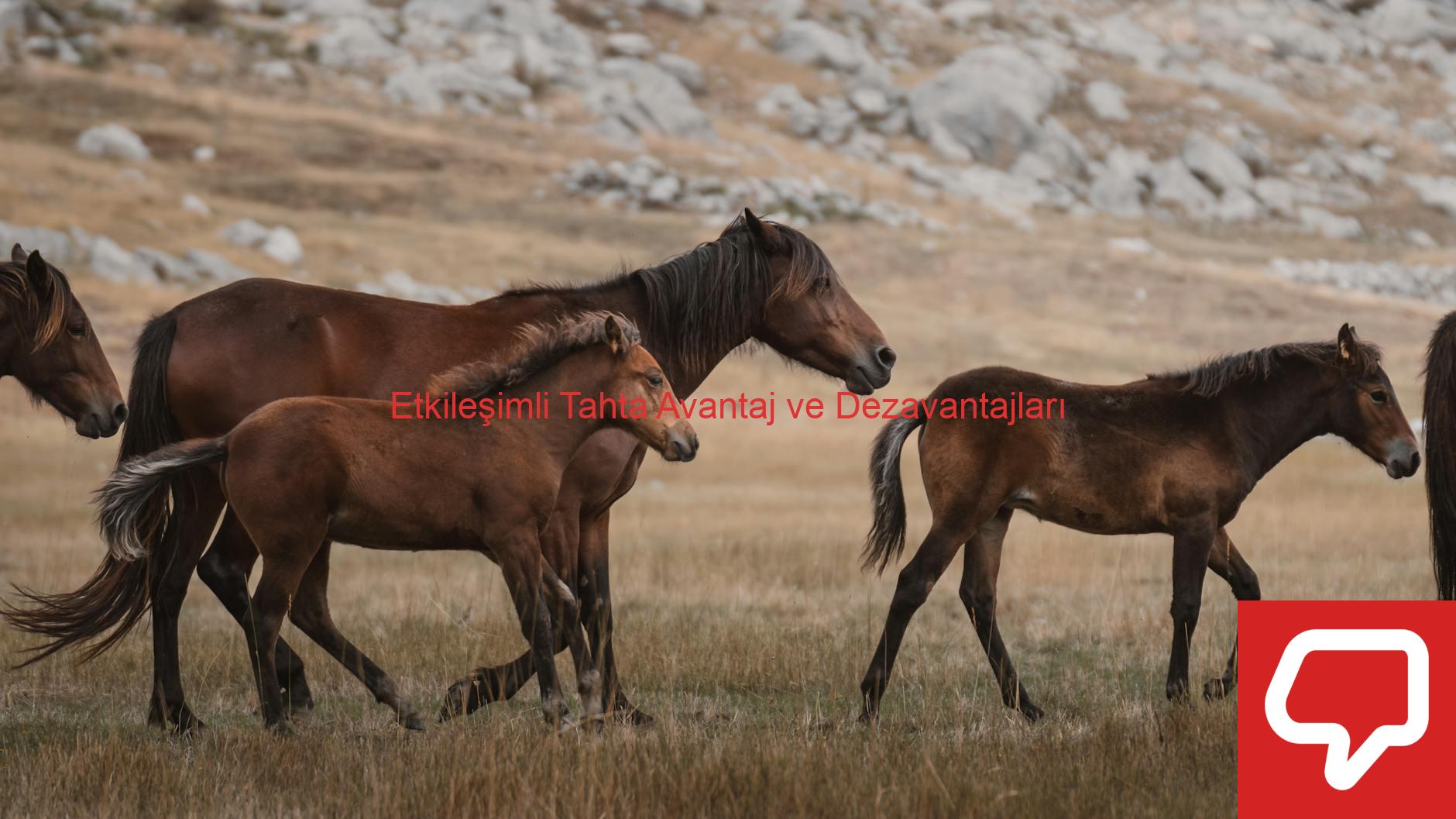 Etkileşimli Tahta Avantaj ve Dezavantajları