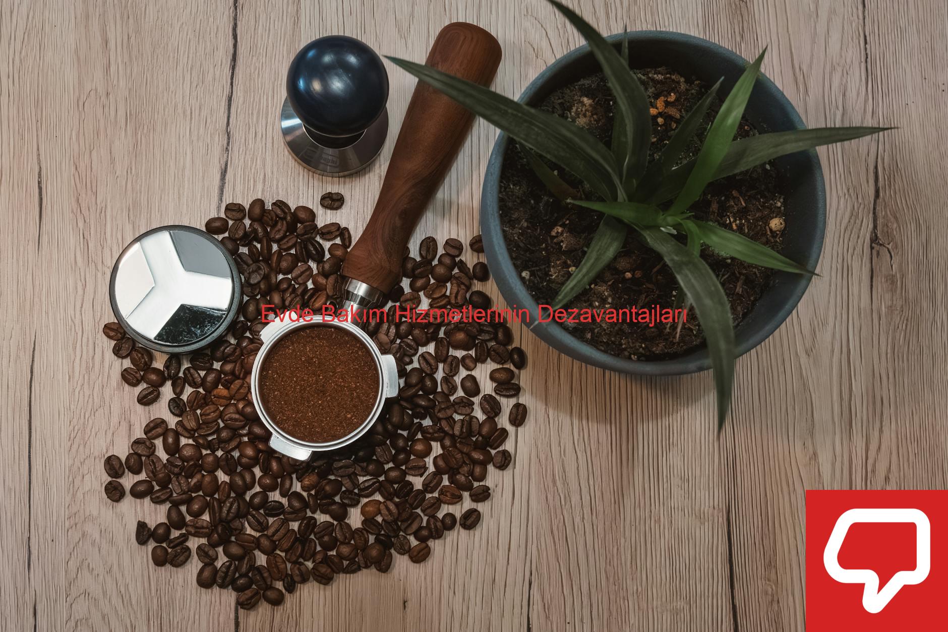 Evde Bakım Hizmetlerinin Dezavantajları