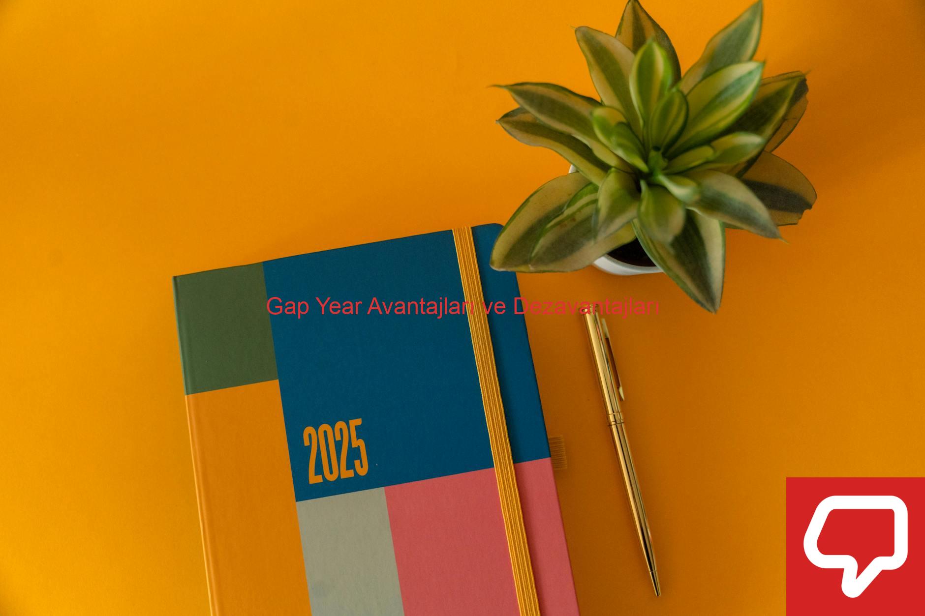 Gap Year Avantajları ve Dezavantajları
