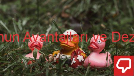 Hava Yolunun Avantajları ve Dezavantajları