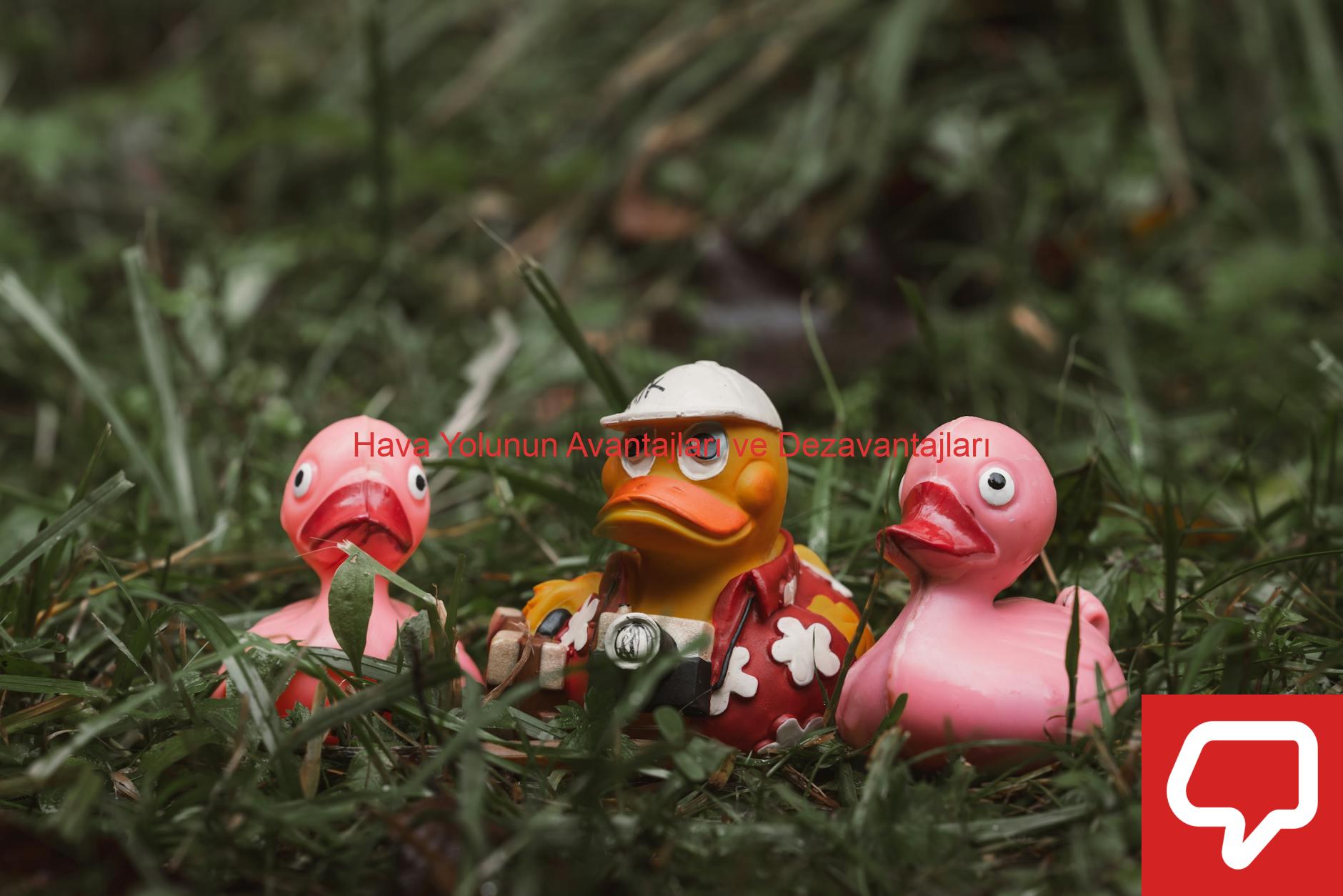 Hava Yolunun Avantajları ve Dezavantajları