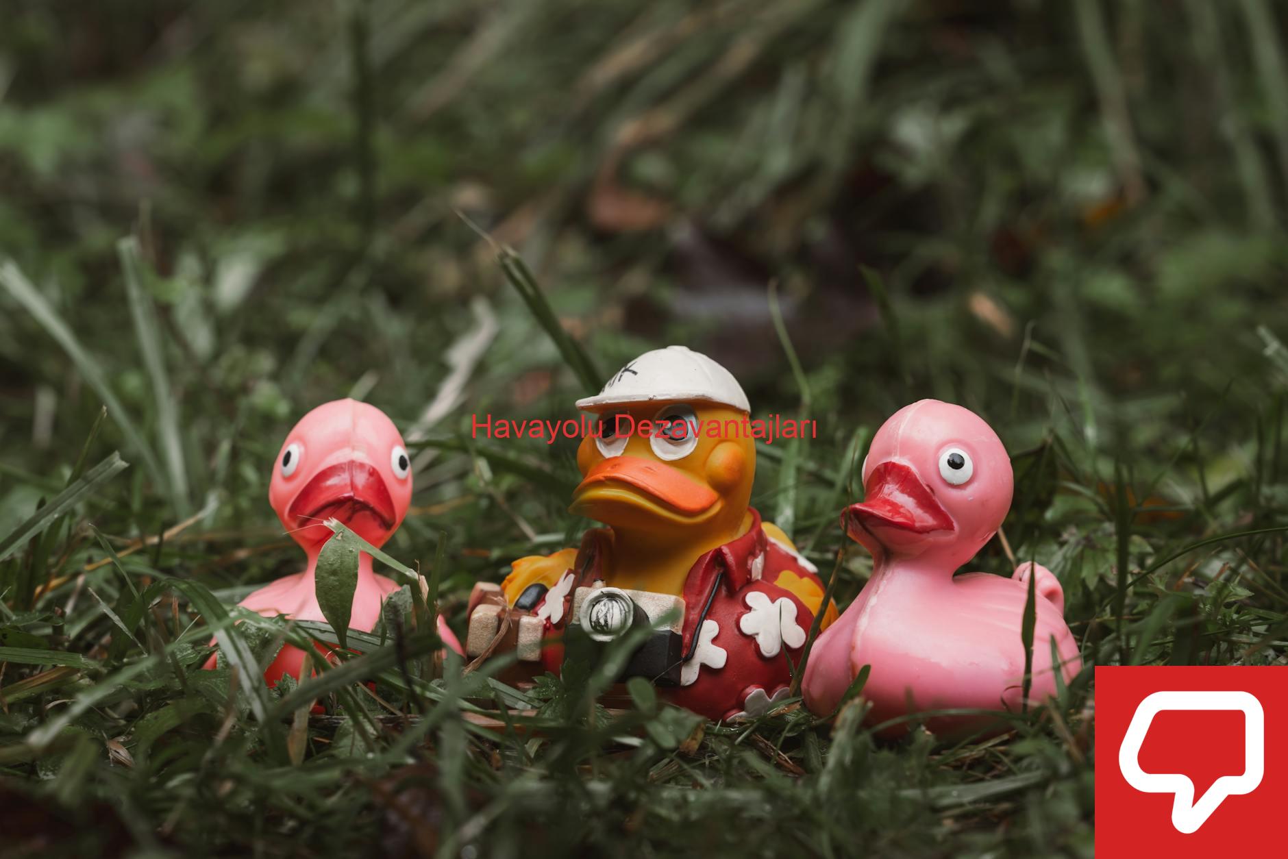 Havayolu Dezavantajları