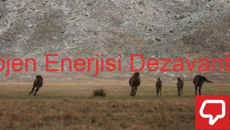 Hidrojen Enerjisi Dezavantajları