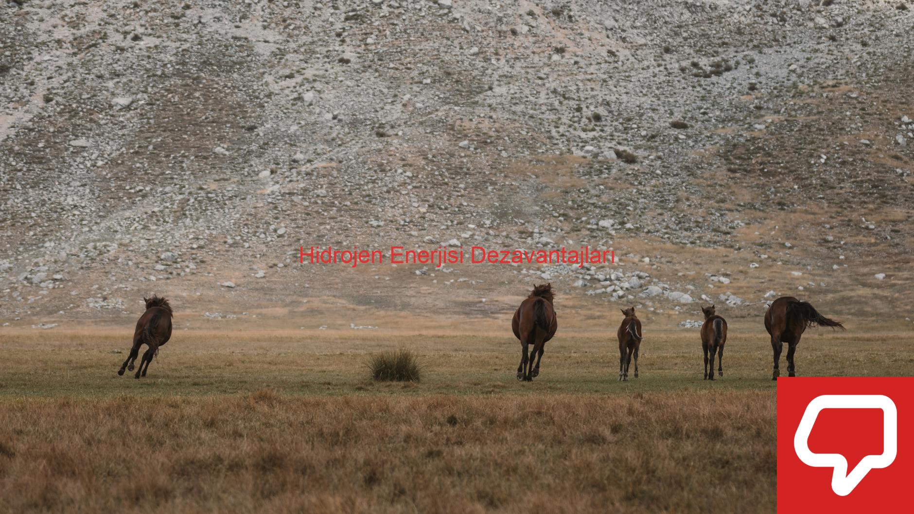 Hidrojen Enerjisi Dezavantajları