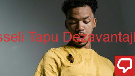 Hisseli Tapu Dezavantajları