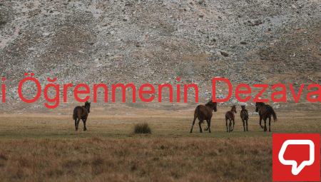 İşbirlikli Öğrenmenin Dezavantajları