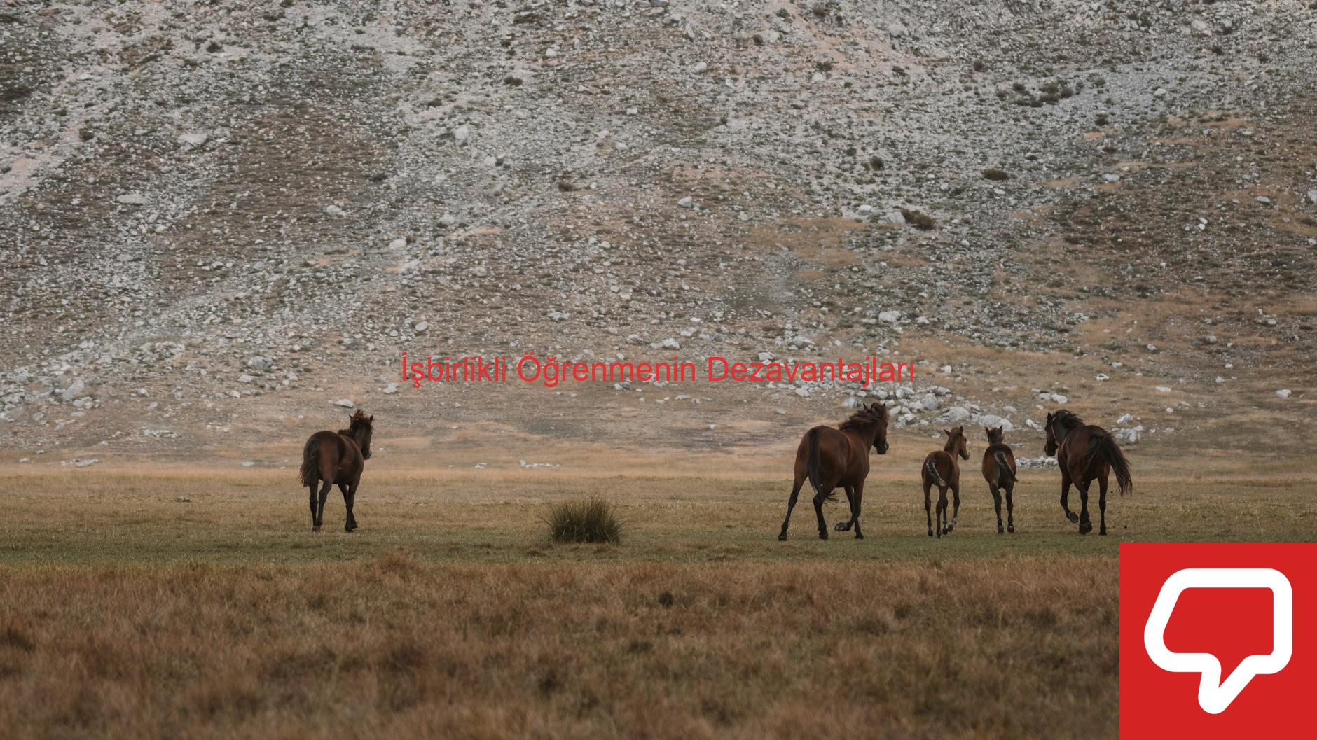 İşbirlikli Öğrenmenin Dezavantajları