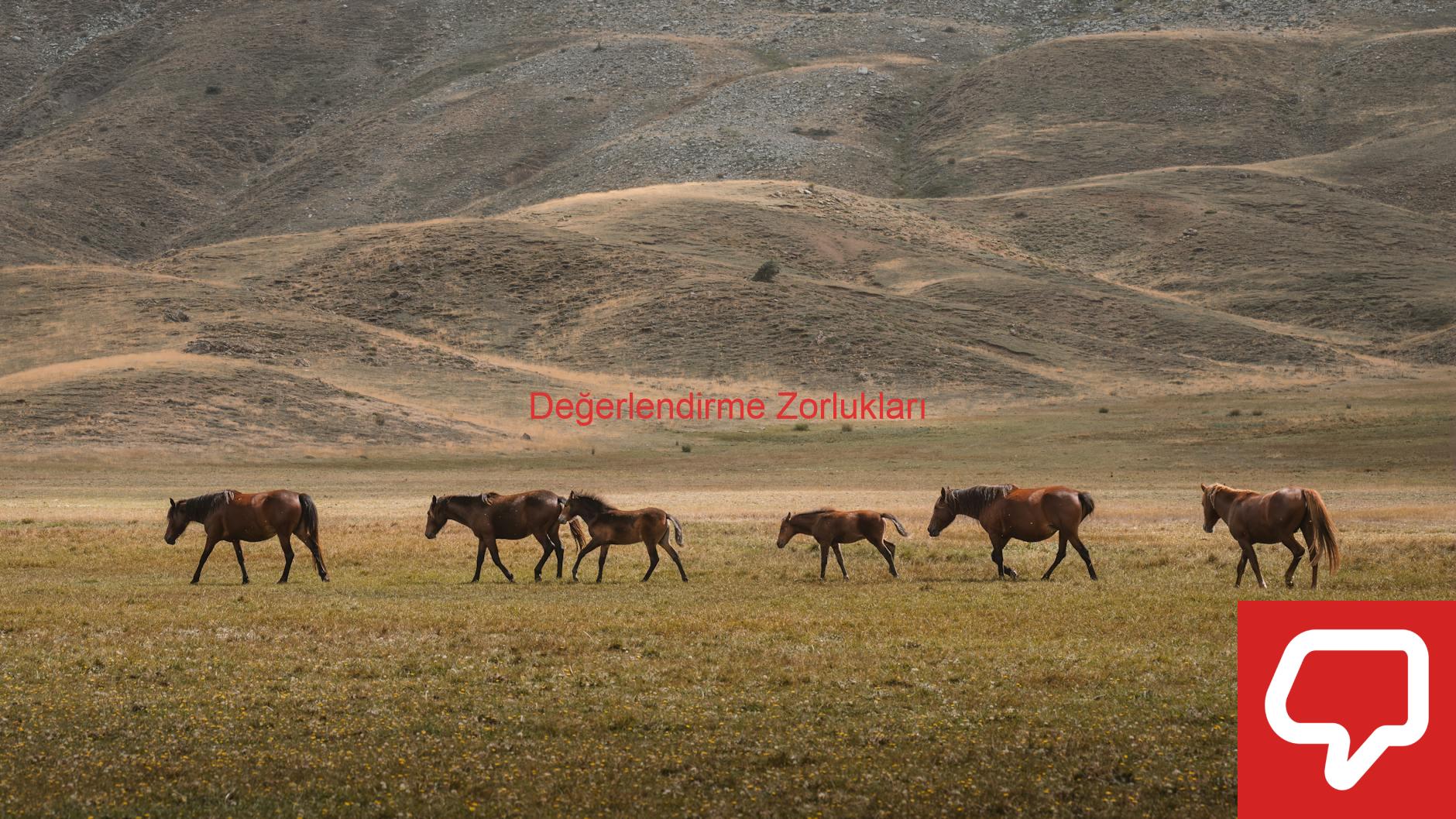 Değerlendirme Zorlukları
