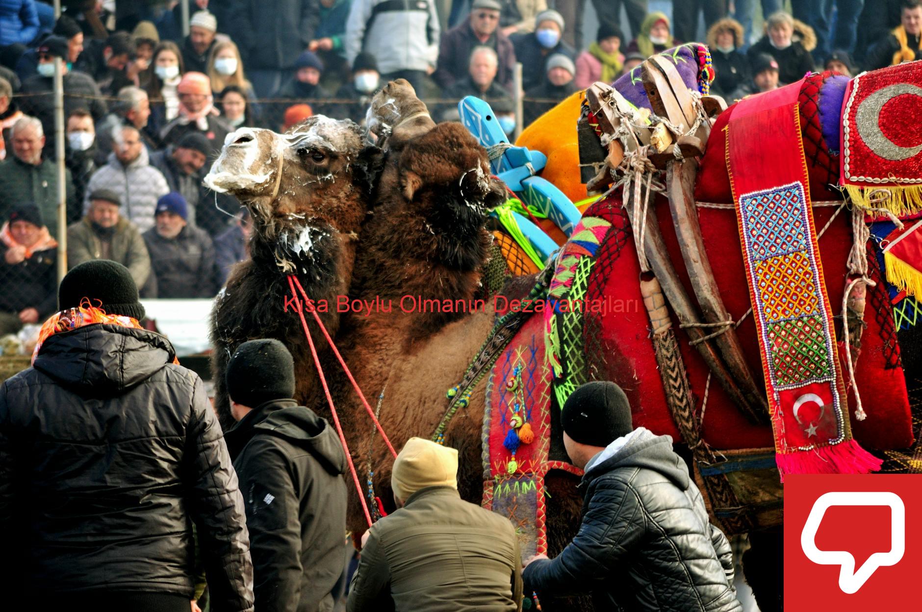 Kısa Boylu Olmanın Dezavantajları