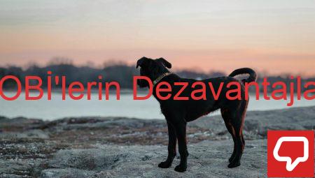 KOBİ’lerin Dezavantajları