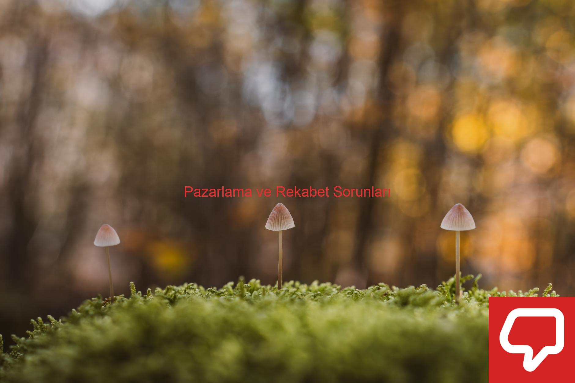 Pazarlama ve Rekabet Sorunları
