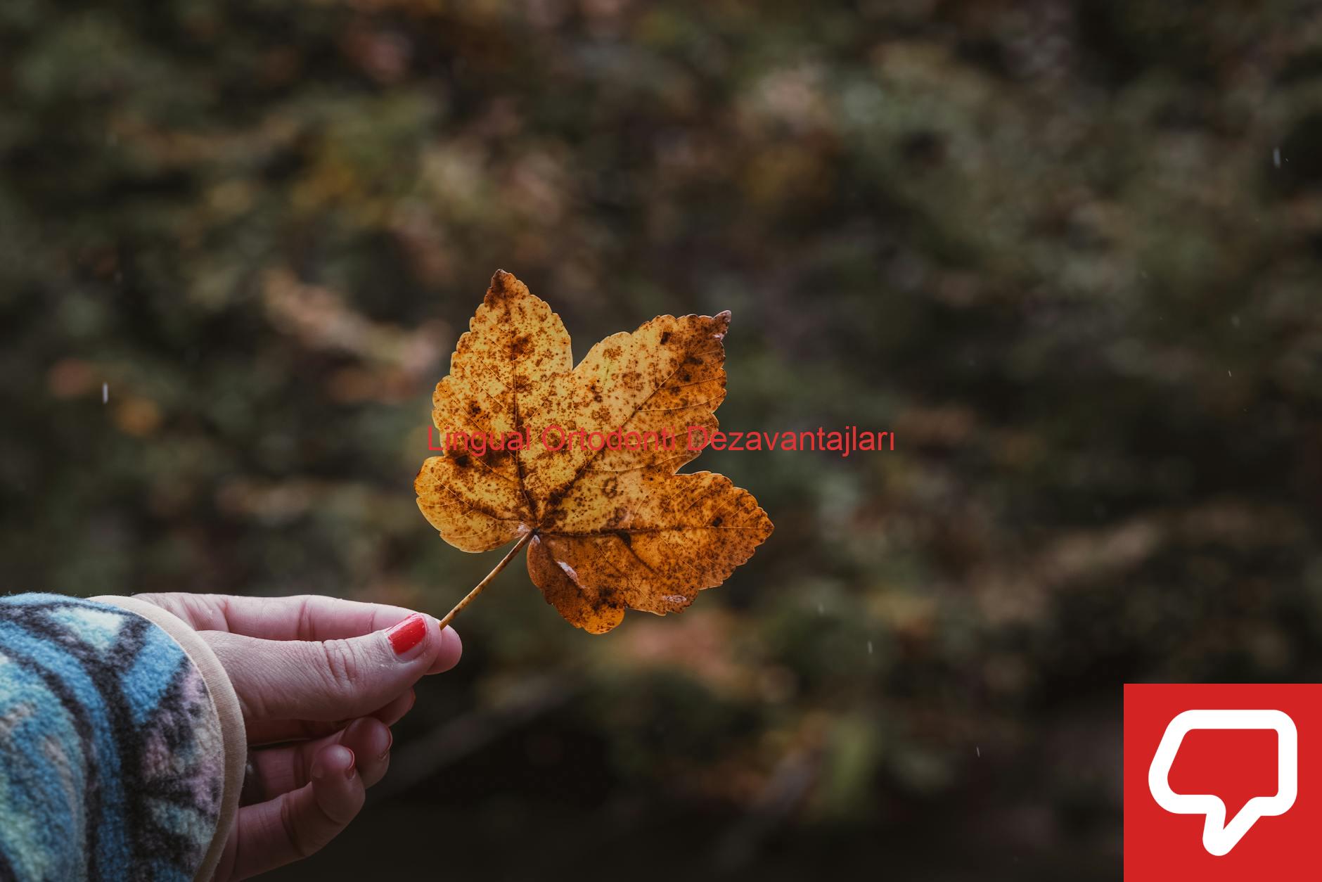 Lingual Ortodonti Dezavantajları