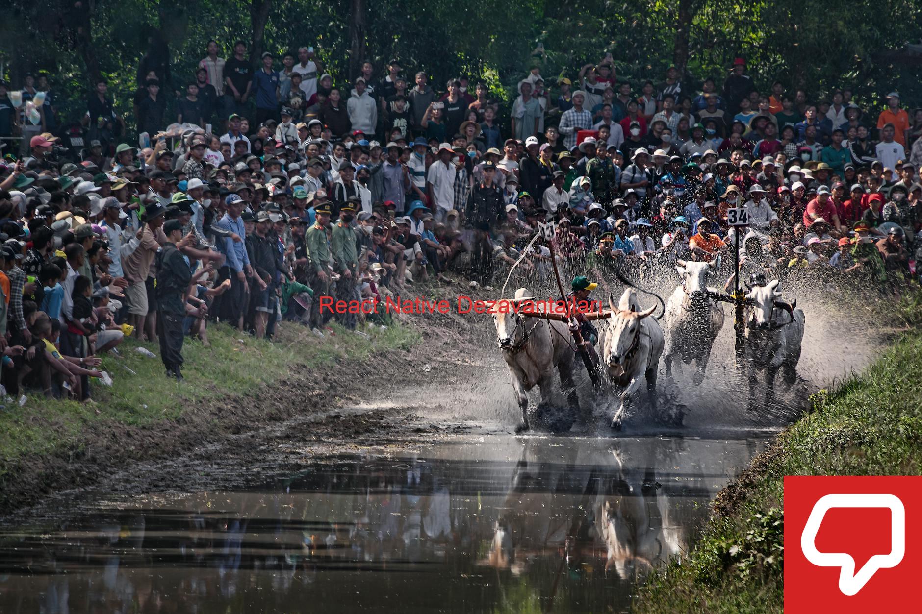 React Native Dezavantajları
