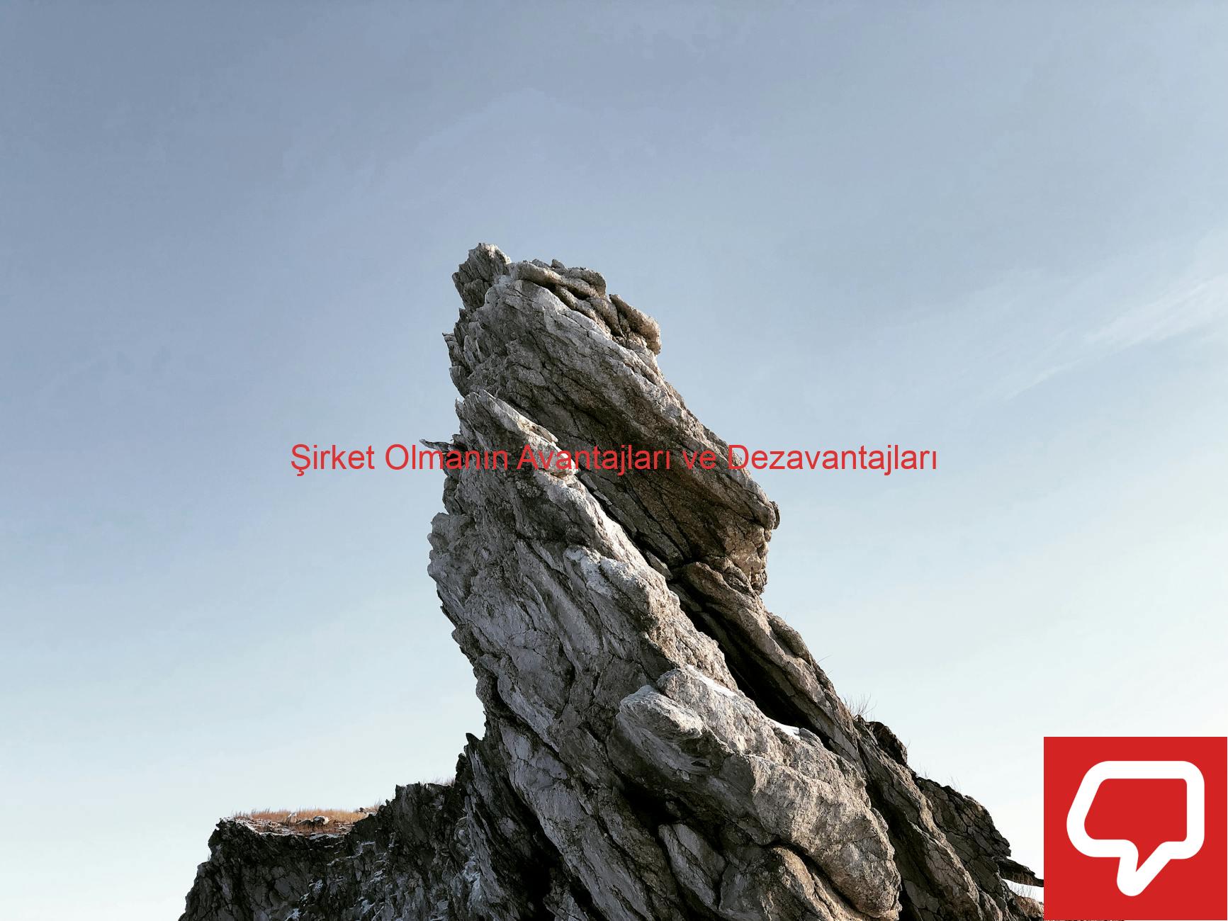 Şirket Olmanın Avantajları ve Dezavantajları