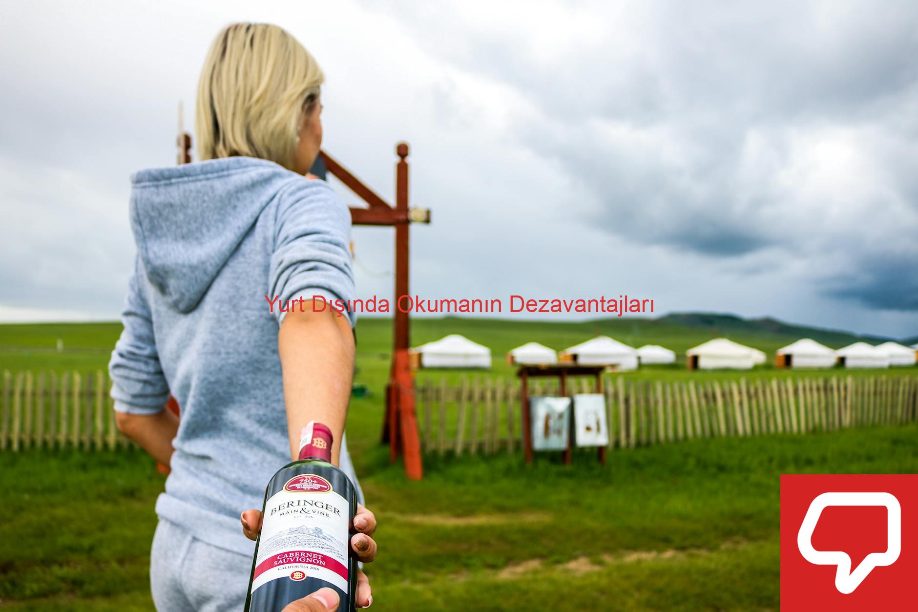 Yurt Dışında Okumanın Dezavantajları