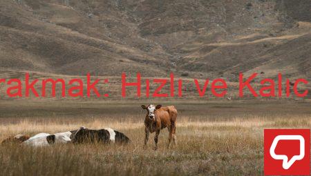 Sigarayı Bırakmak: Hızlı ve Kalıcı Yöntemler