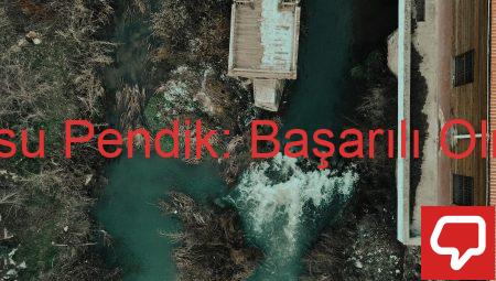 İngilizce Kursu Pendik: Başarılı Olmanın Sırları