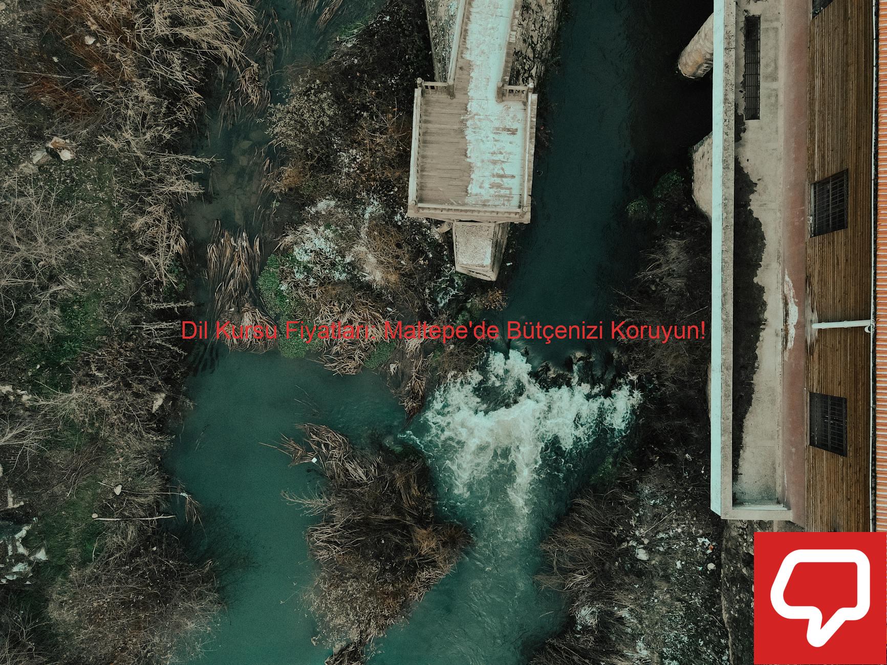 Dil Kursu Fiyatları: Maltepe'de Bütçenizi Koruyun!