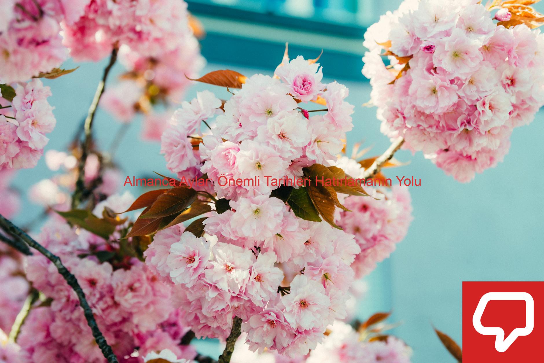 Almanca Aylar: Önemli Tarihleri Hatırlamanın Yolu