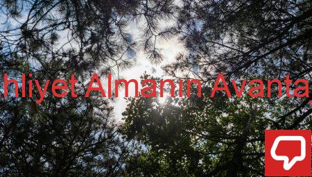 Bursa’da Ehliyet Almanın Avantajları Neler?